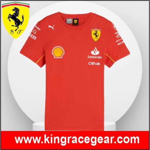 Ferrari F1 Driver